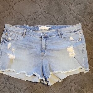 torrid Light Wash Distressed Denim Cutoff Shorts